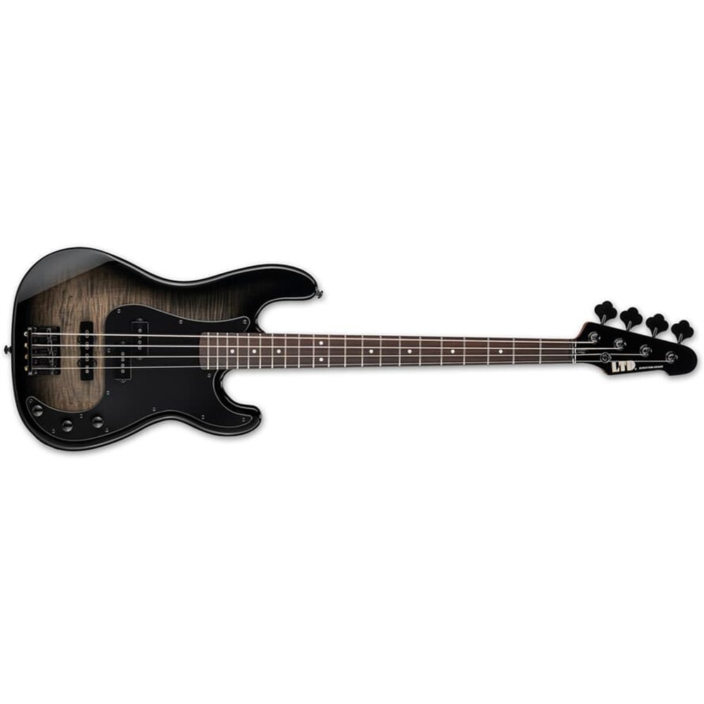 LTD SURVEYOR-204DX - Black Burst