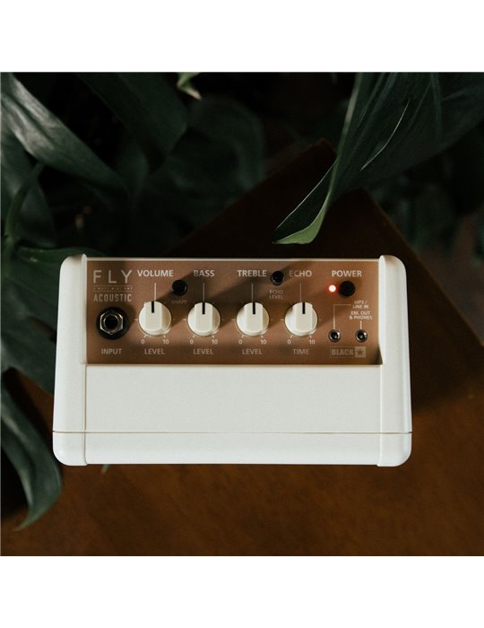 FLY 3 ACOUSTIC