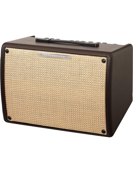 IBANEZ AMPLIFICADOR ACUSTICA TROUBADOUR T30-U