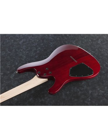 GUITARRA ELECTRICA IBANEZ S521BBS 2