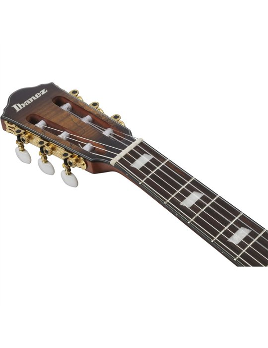 GUITARRA CLASICA IBANEZ FRH20SMNTCL Tobacco Burst