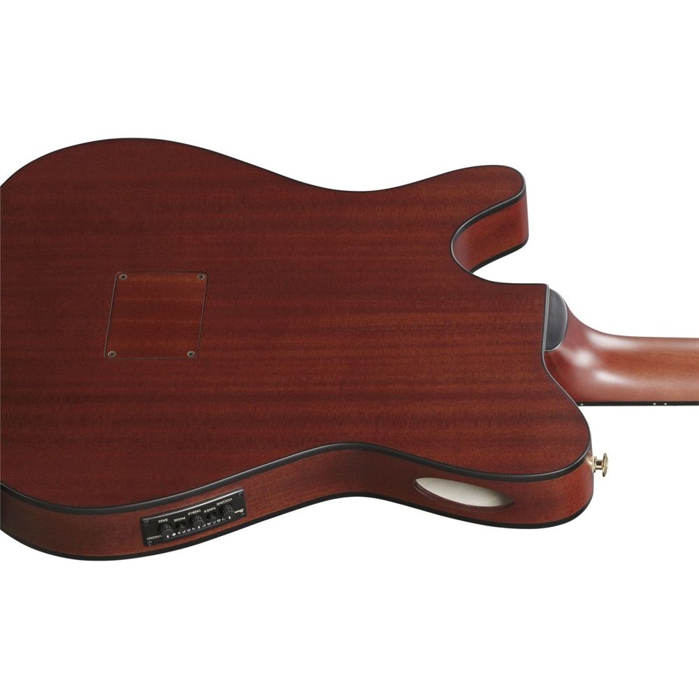 GUITARRA CLASICA IBANEZ FRH20SMNTCL Tobacco Burst