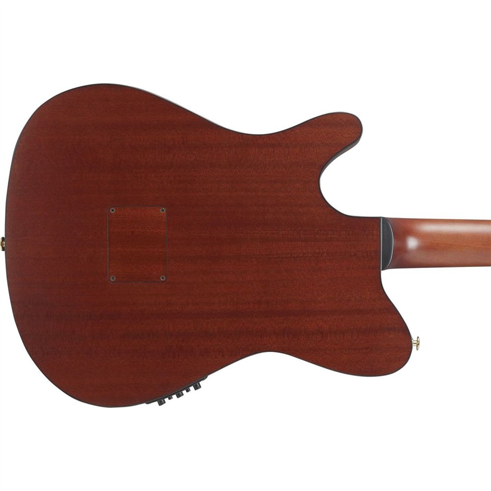 GUITARRA CLASICA IBANEZ FRH20SMNTCL Tobacco Burst