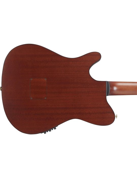 GUITARRA CLASICA IBANEZ FRH20SMNTCL Tobacco Burst