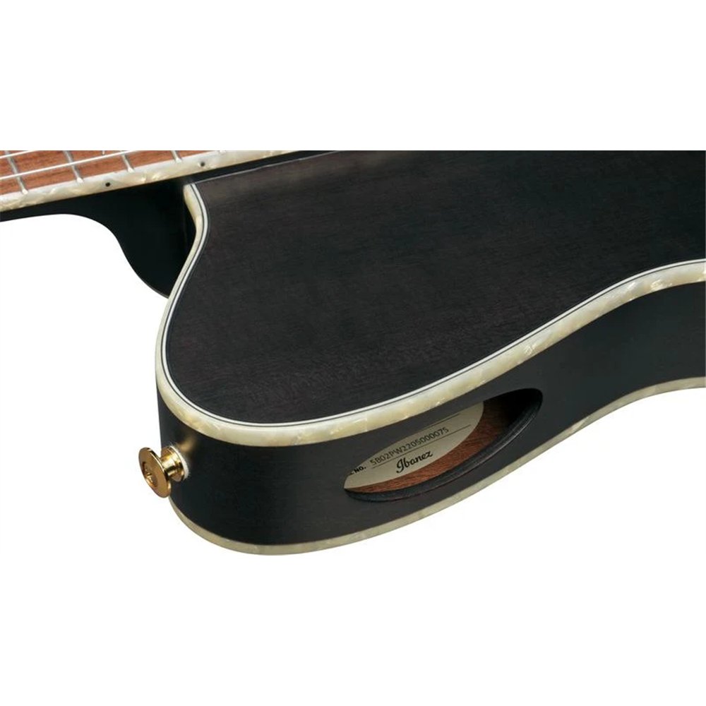 GUITARRA IBANEZ CLASICA R T.HENSON TOD10NTKF