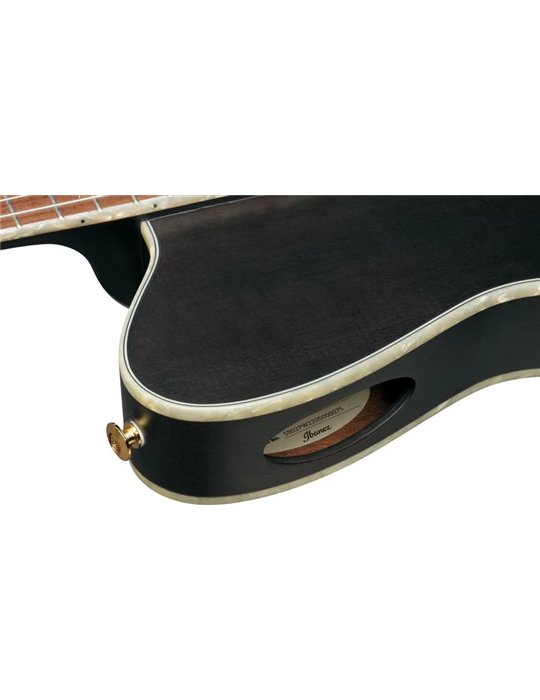 GUITARRA IBANEZ CLASICA R T.HENSON TOD10NTKF