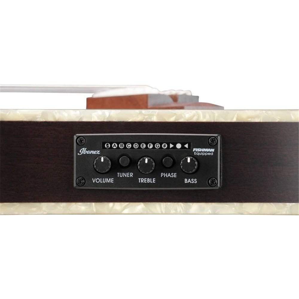 GUITARRA IBANEZ CLASICA R T.HENSON TOD10NTKF
