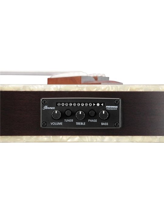 GUITARRA IBANEZ CLASICA R T.HENSON TOD10NTKF