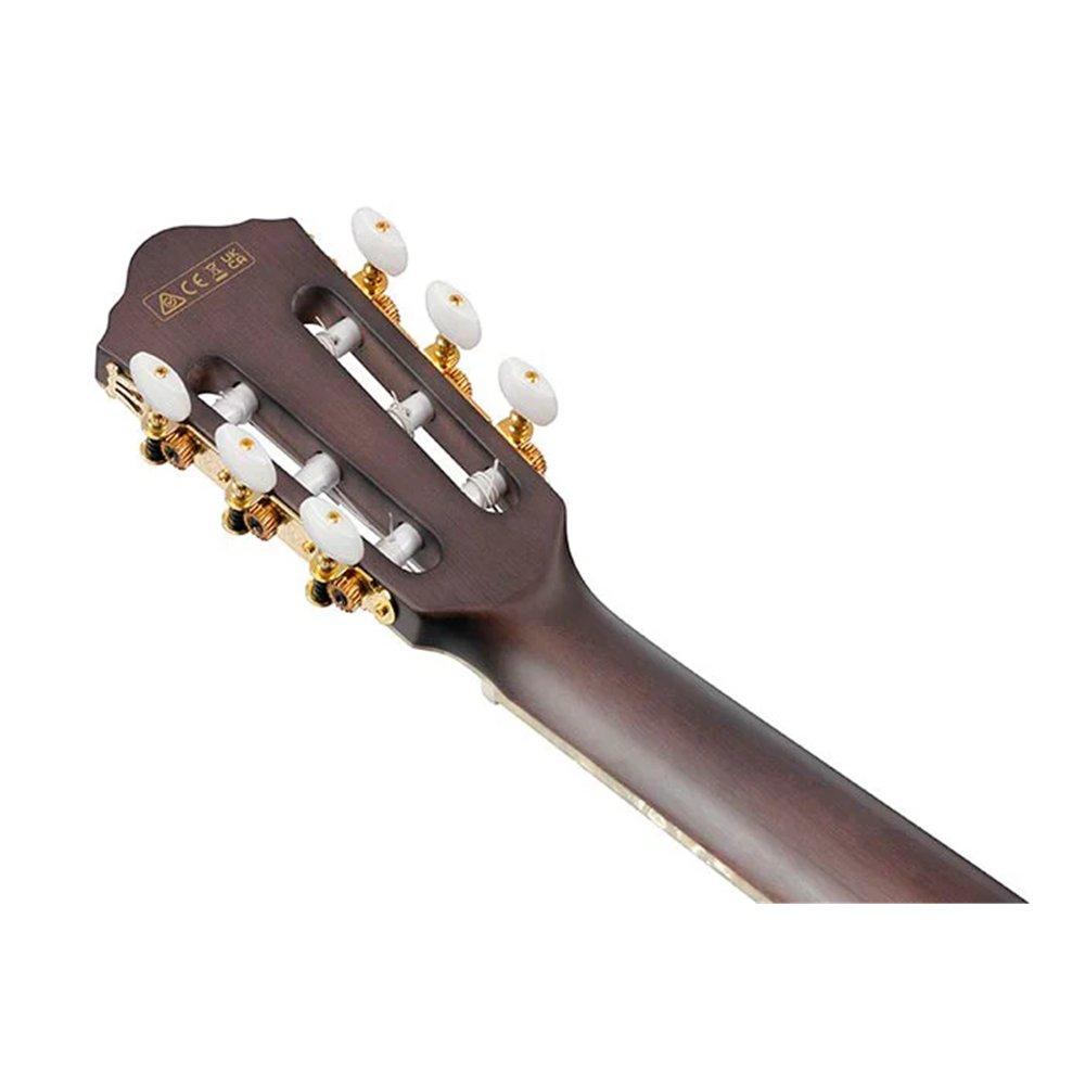 GUITARRA IBANEZ CLASICA R T.HENSON TOD10NTKF
