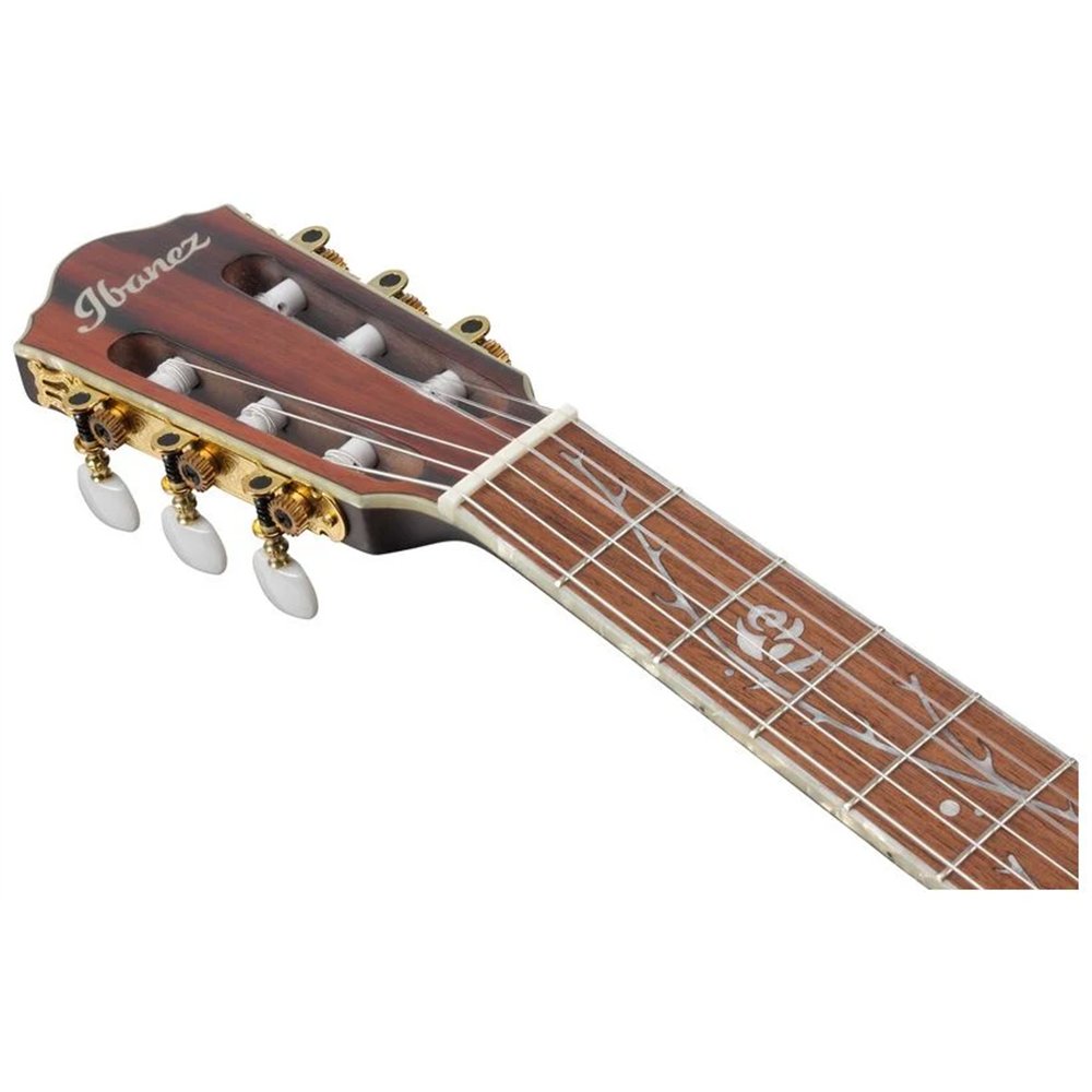 GUITARRA IBANEZ CLASICA R T.HENSON TOD10NTKF