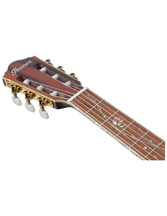 GUITARRA IBANEZ CLASICA R T.HENSON TOD10NTKF