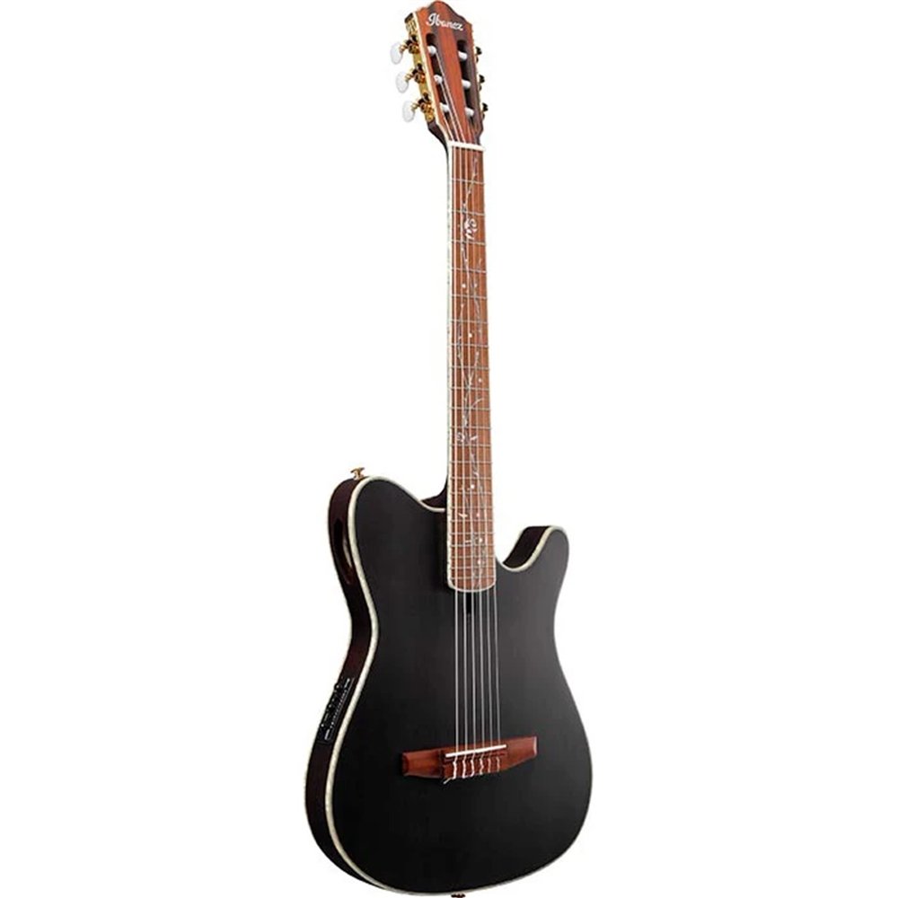 GUITARRA IBANEZ CLASICA R T.HENSON TOD10NTKF