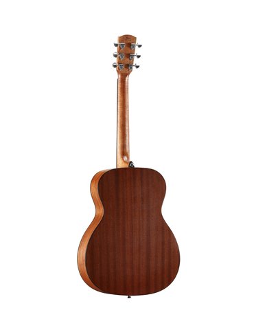 AF30 ARTIST 2