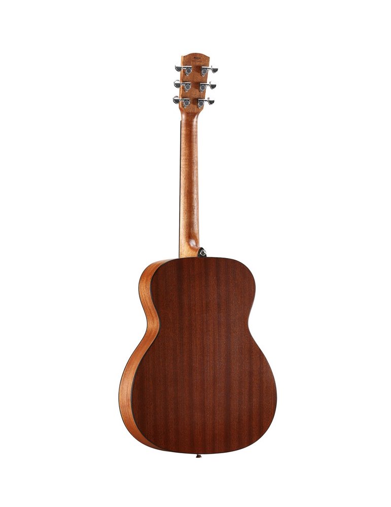 AF30 ARTIST