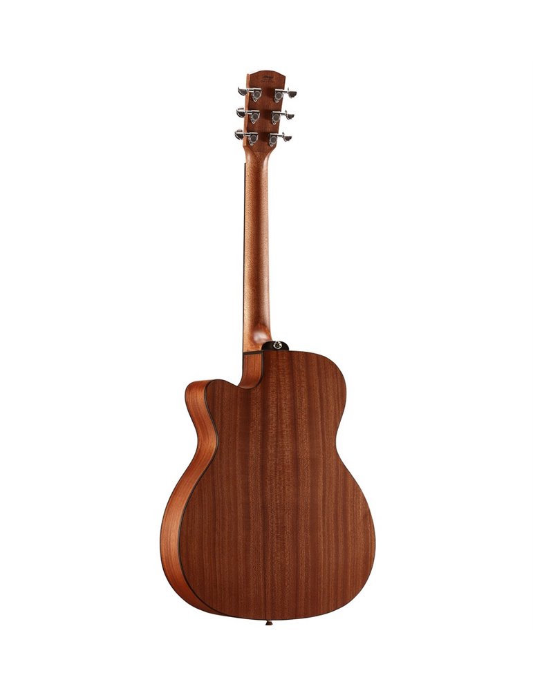 AF30CE ARTIST