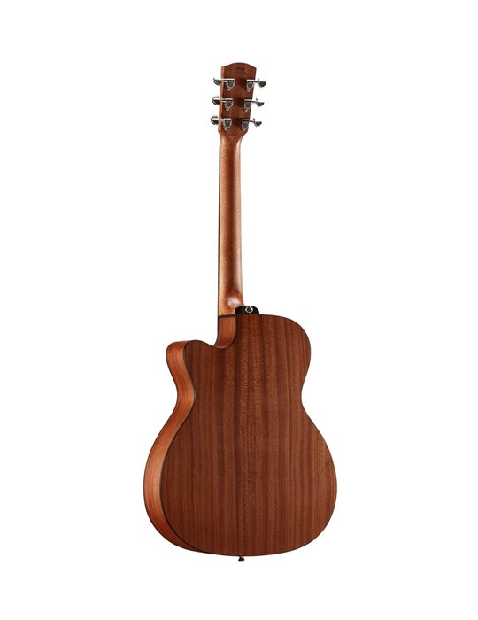 AF30CE ARTIST
