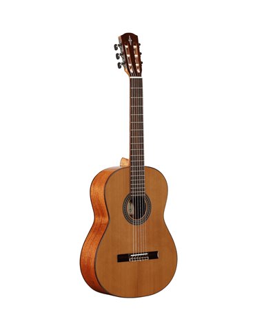 AC65 ARTIST