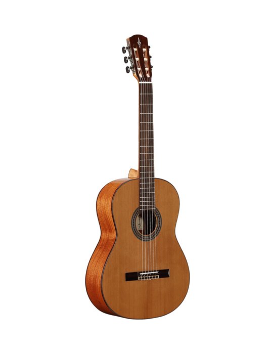 AC65 ARTIST