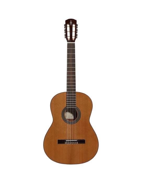 AC65 ARTIST
