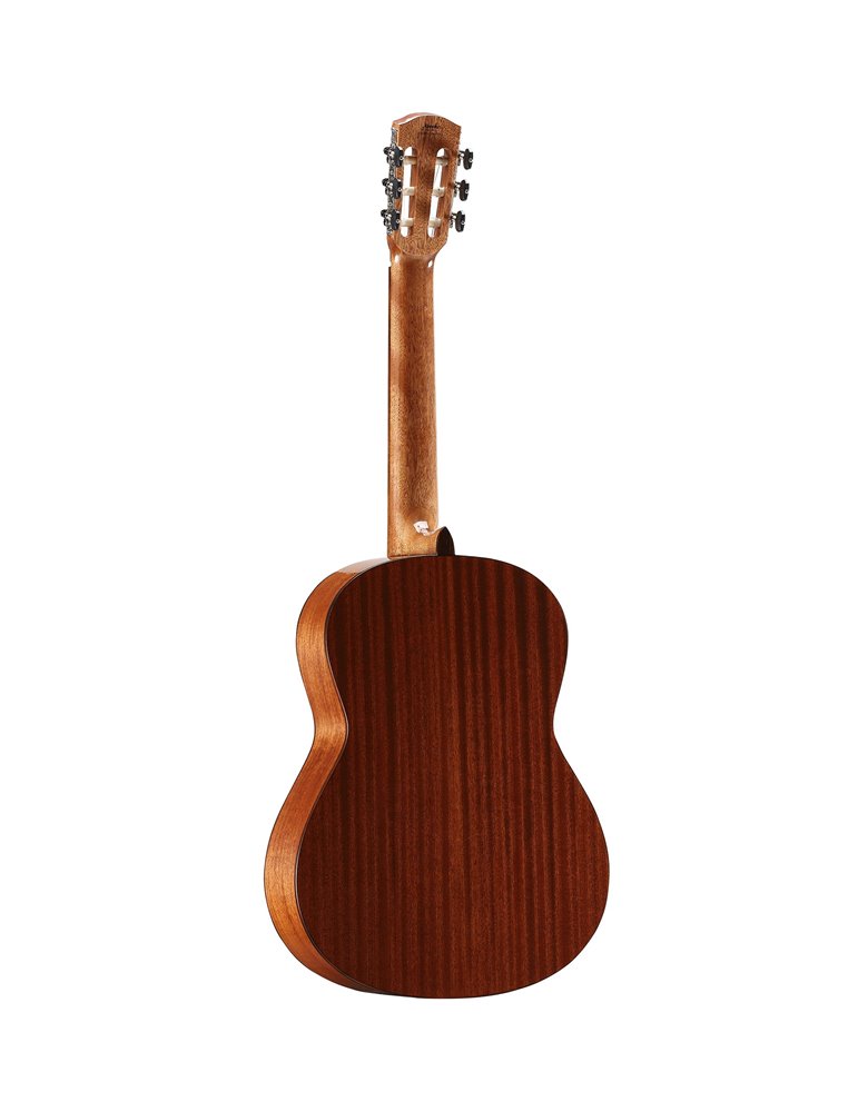 AC65 ARTIST