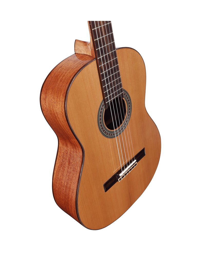 AC65 ARTIST