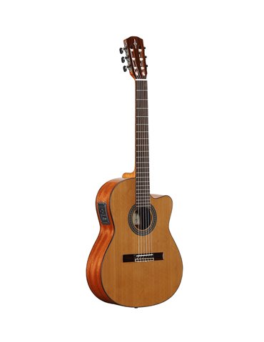 AC65HCE ARTIST