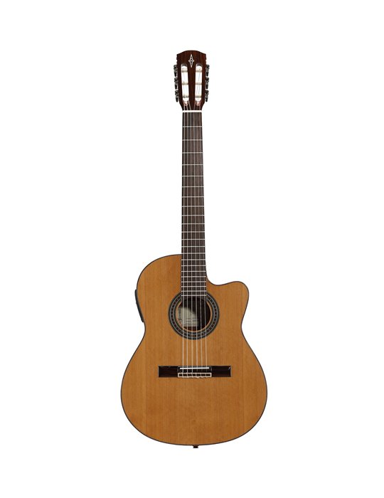 AC65HCE ARTIST