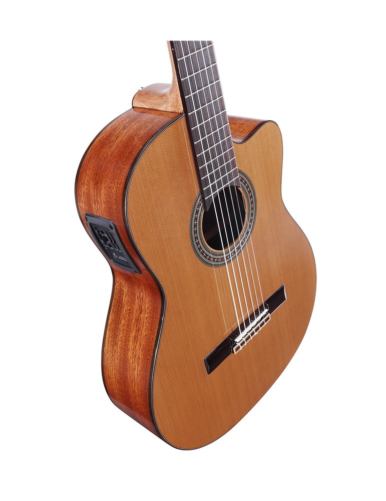 AC65HCE ARTIST