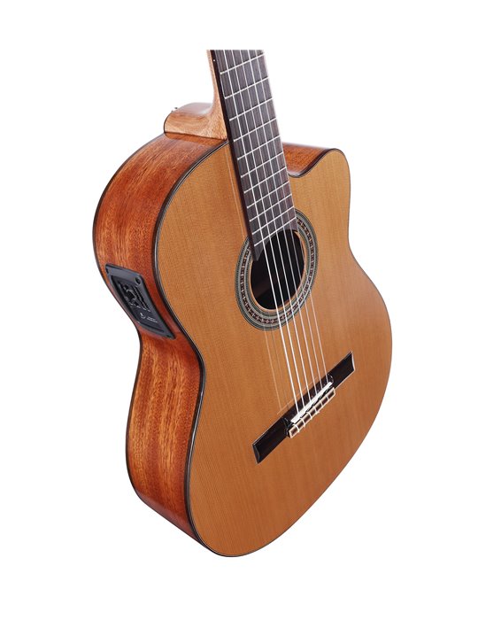 AC65HCE ARTIST