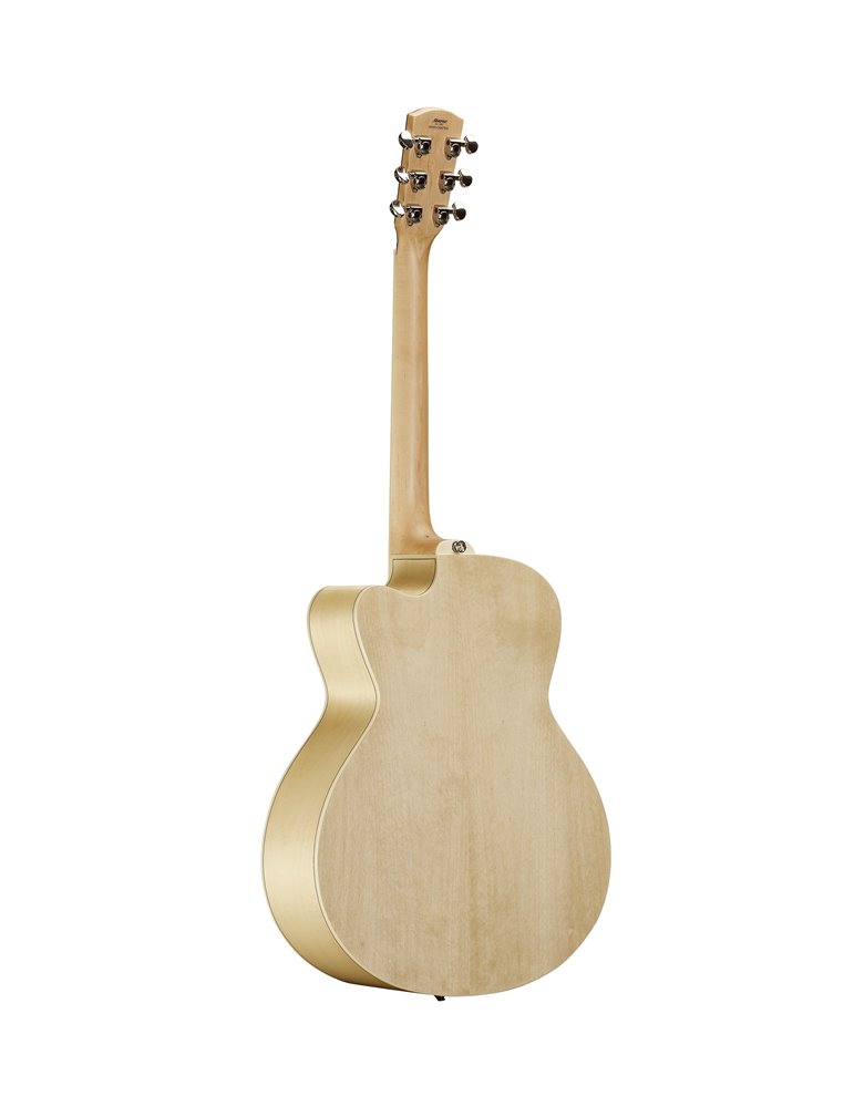 AJ80CE ARTIST