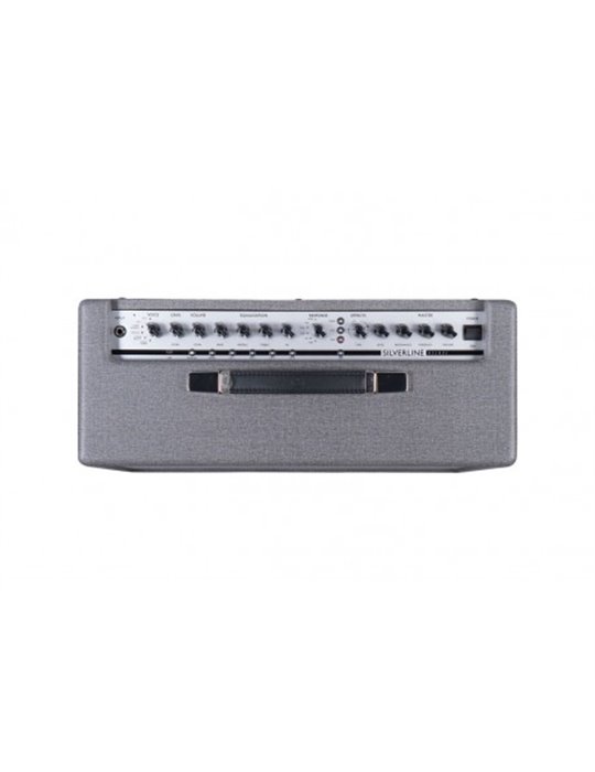 SILVERLINE DELUXE 100W