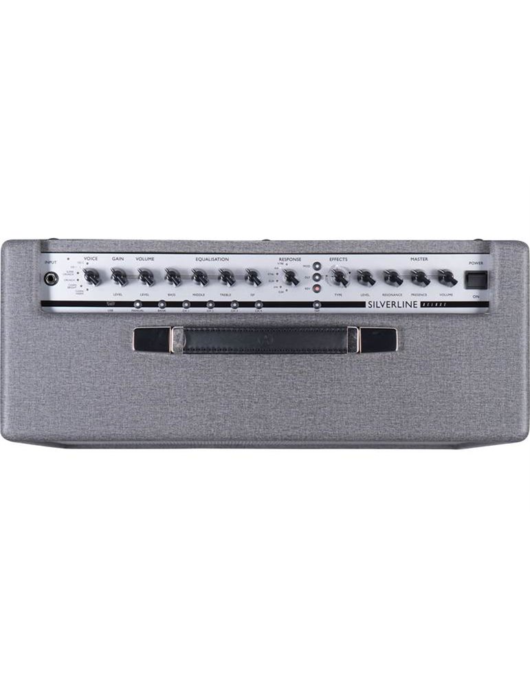 SILVERLINE STEREO DELUXE 100W 2X12