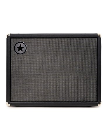 UNITY BASS 2 X 10 CABINET