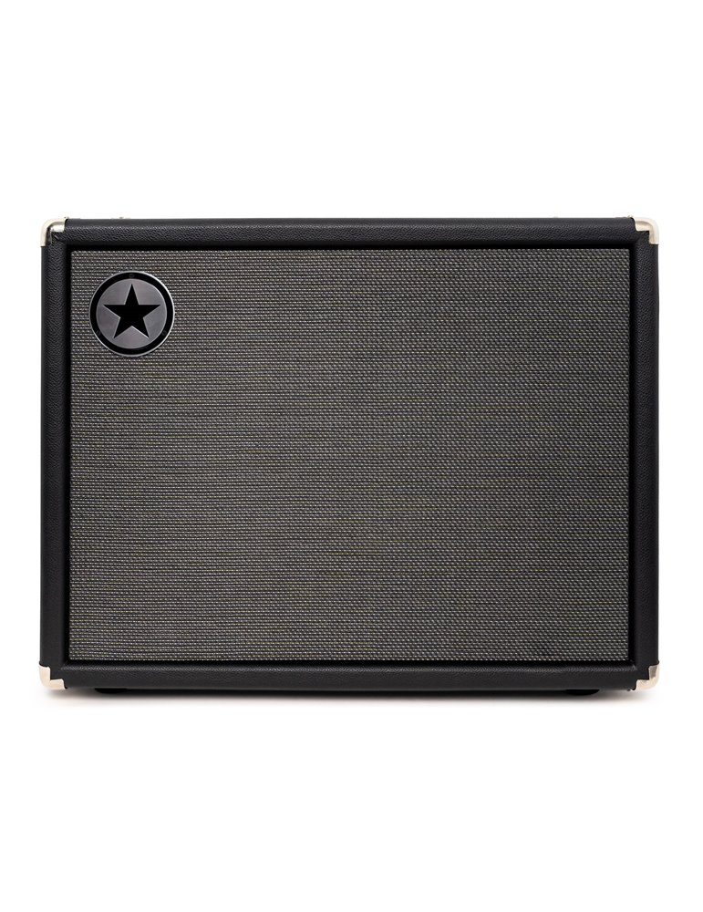 UNITY BASS 2 X 10 CABINET