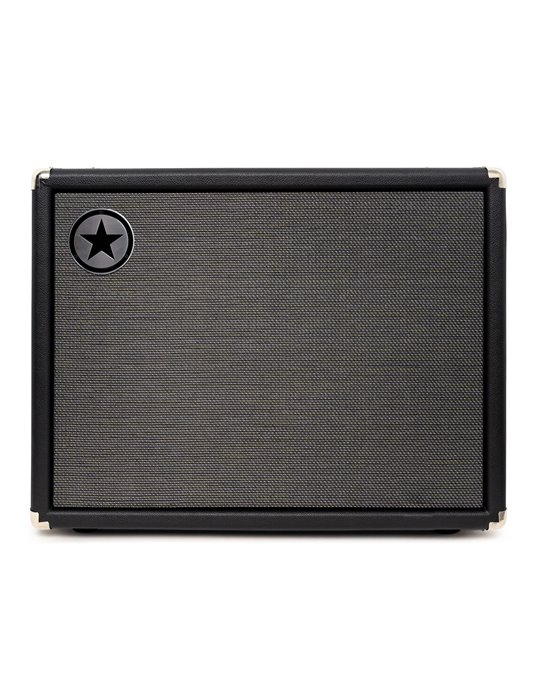 UNITY BASS 2 X 10 CABINET