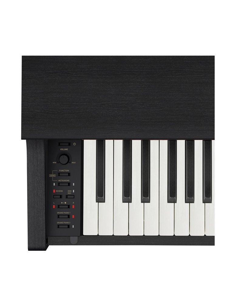 CELVIANO AP-270BK
