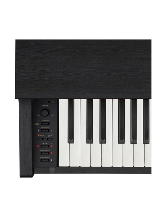 CELVIANO AP-270BK