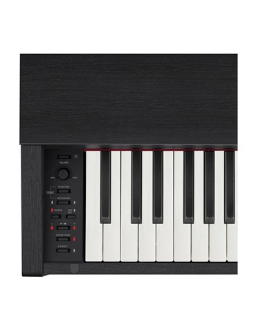 PRIVIA PX-770BK 2