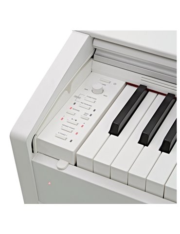 PRIVIA PX-770WE 2