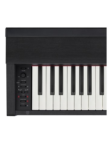 PRIVIA PX-870BK 2