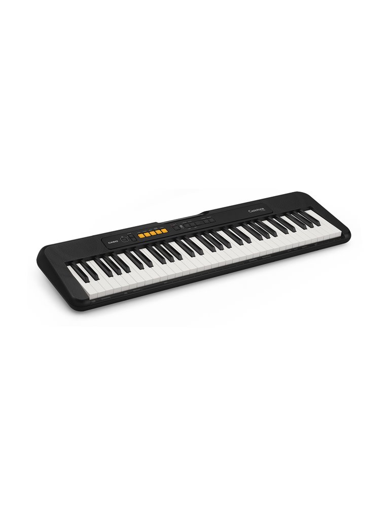 CT-S100 CASIOTONE
