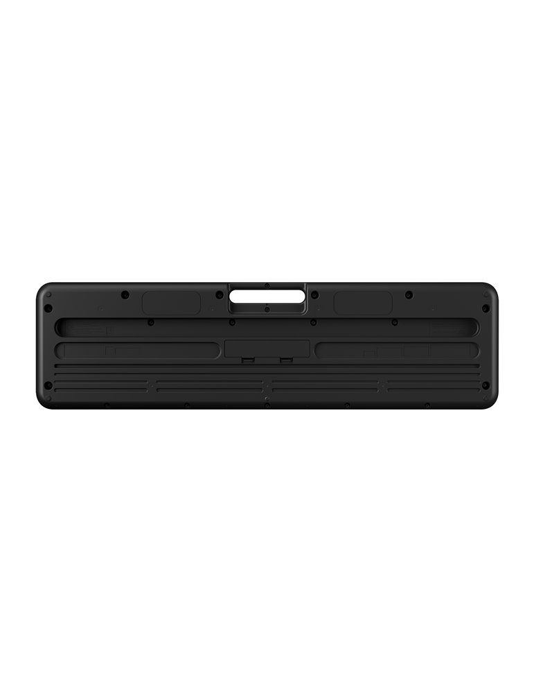 CT-S100 CASIOTONE