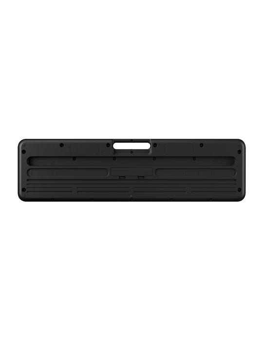 CT-S100 CASIOTONE