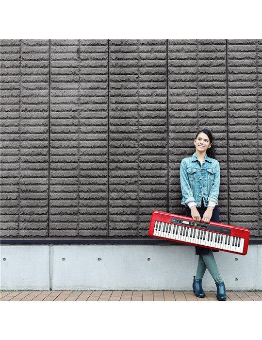 CT-S200RD CASIOTONE
