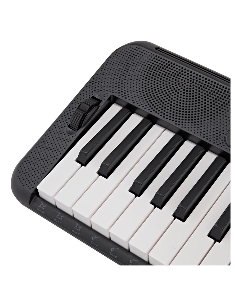CT-S300 CASIOTONE