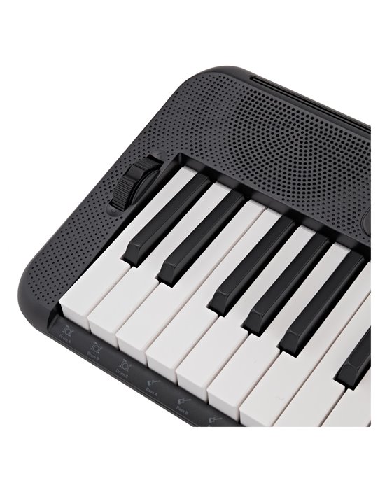 CT-S300 CASIOTONE