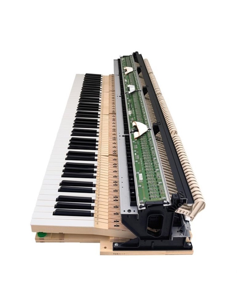 CELVIANO GRAND HYBRID GP-310BK