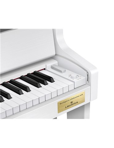 CELVIANO GRAND HYBRID GP-310WE 2