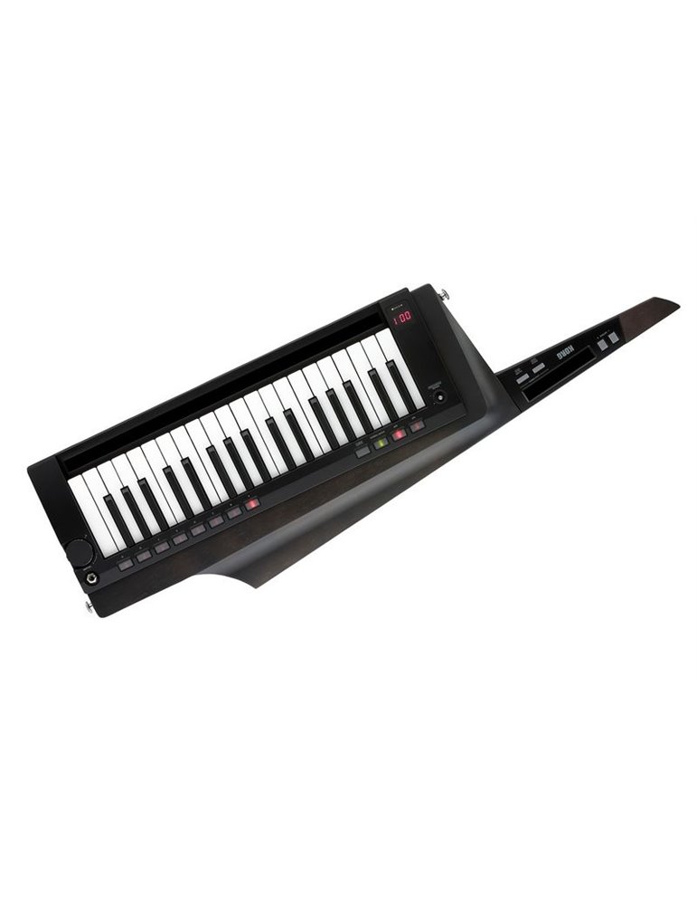 RK-100S 2 BK