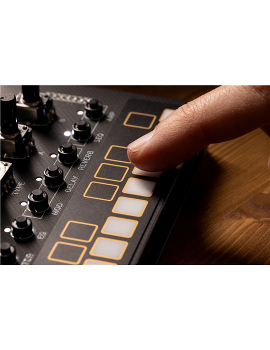 NTS-1 DIGITAL KIT MKII